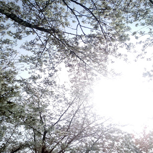 三个老头玩一个老太的背景故事
